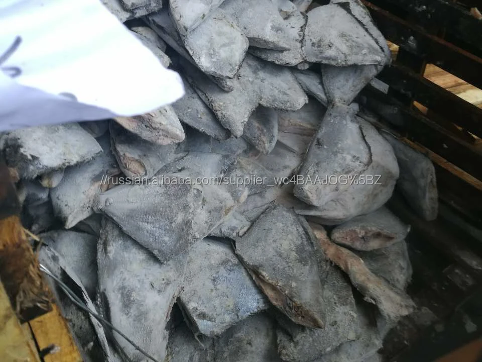 Замороженные Китайский Брама Брама рыбы тихоокеанского HGT брама