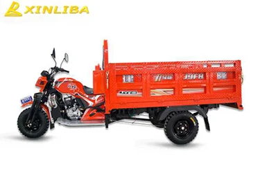 300cc passenger auto rickshaw three wheel motorcycle price