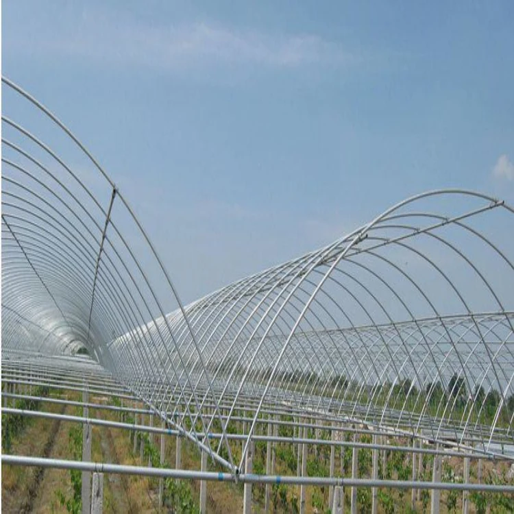 single film span Uv Protection Plastic Greenhouse for vegetables