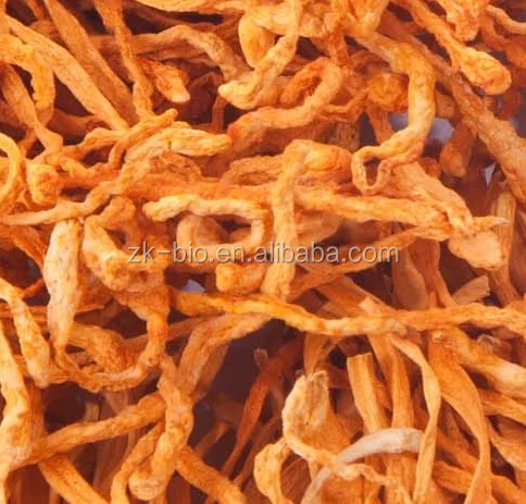 Китайский органический Кордицепс милитари