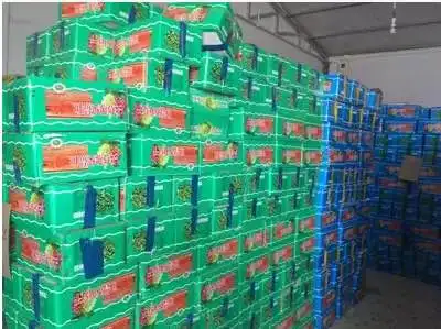 
Factory Price Iran Raisin Wholesale Raisin Black Raisin From Uzbekistan 