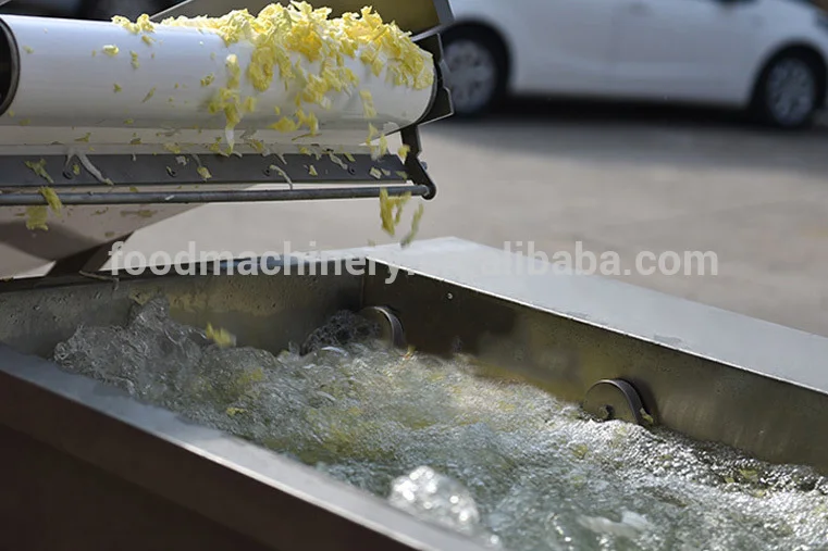 
Shrimp washing machine salad lines production line 