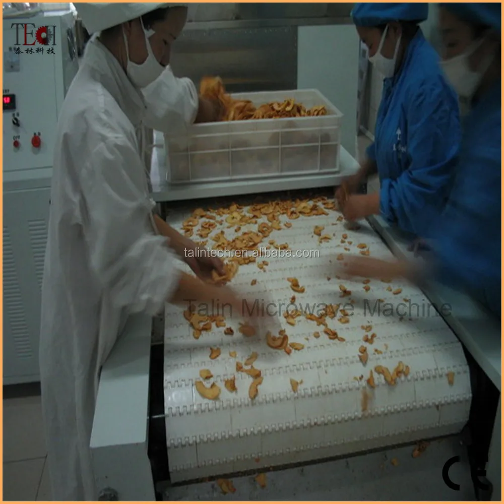 Industrial Microwave Drying Machine-Talin Brand