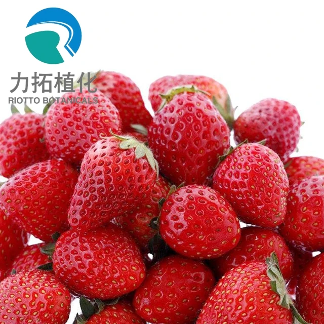 
Completely Soluble fresh Strawberry powder 
