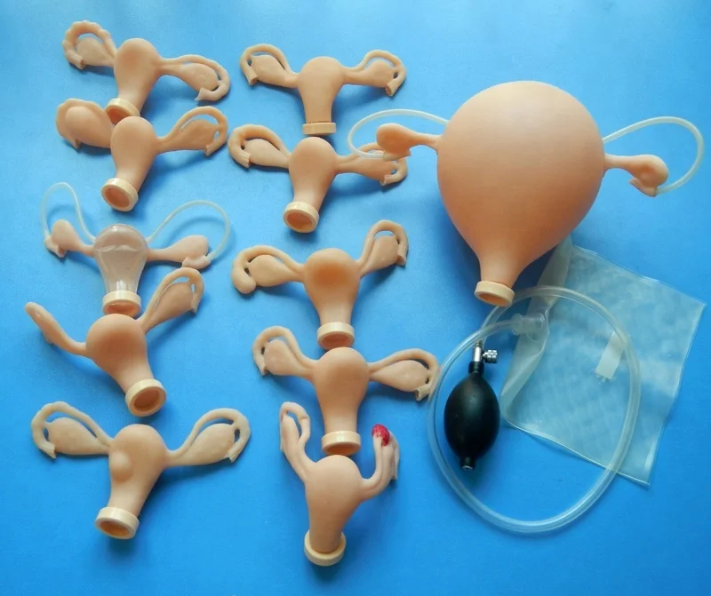 Gynecological Examination Simulator,Vaginal examination,GYN Skills Teaching