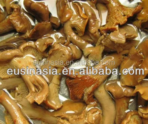 
Golden chanterelle mushroom in brine 