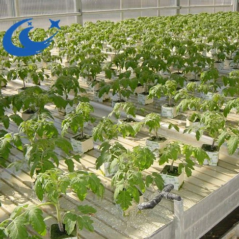 Greenhouse hydroponic systems ebb and flow grow tray rolling bench