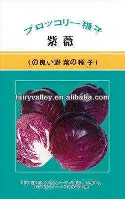 Hybrid Purple Red Kale Seeds/Cabbage Seed For Cultivation