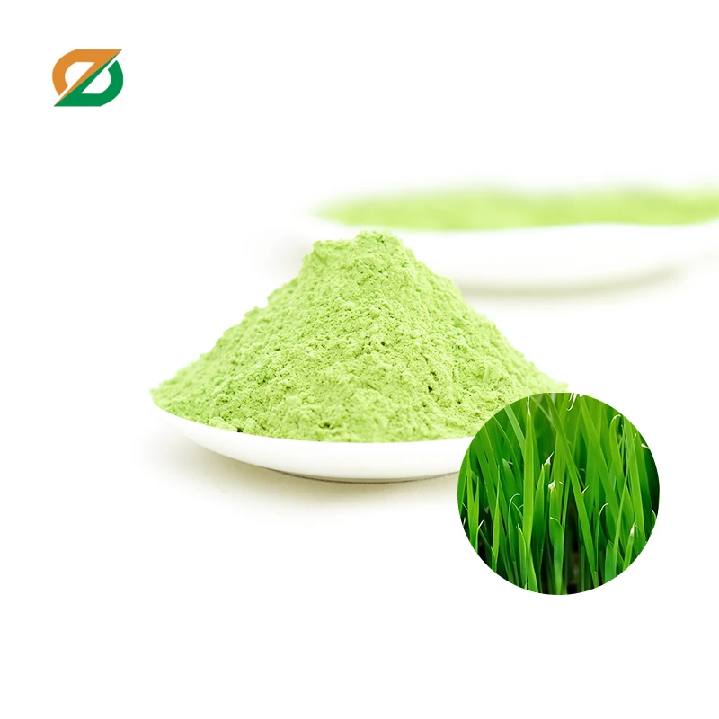 High Quality Juice Product Type barley grass leaf Extract Juice