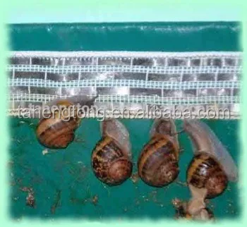 FARMING AGRICULTURE SNAIL POLY TAPE