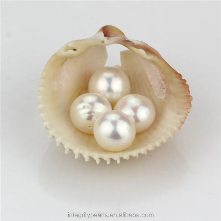 10.5-11mm big huge size half drilled no hole natural near round white pearl loose beads