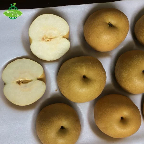 High quality pear in bulk of 300-500g