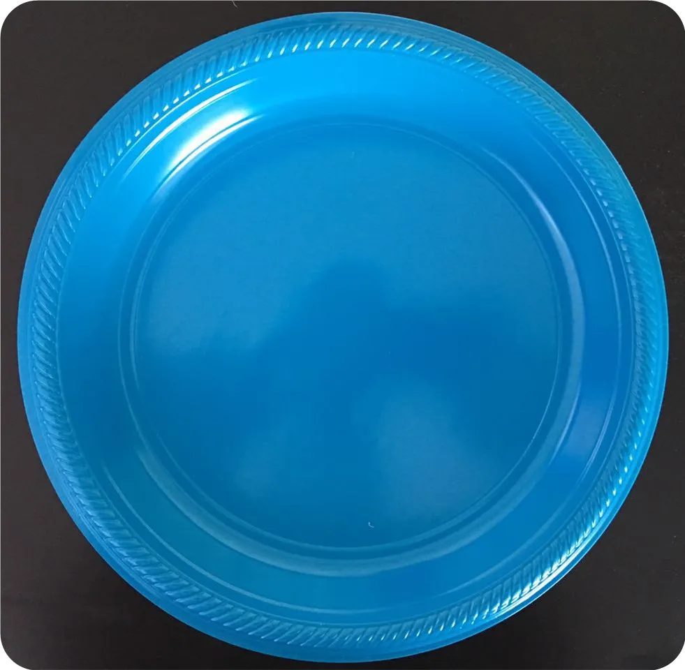 
9 Inches Disposable plate 