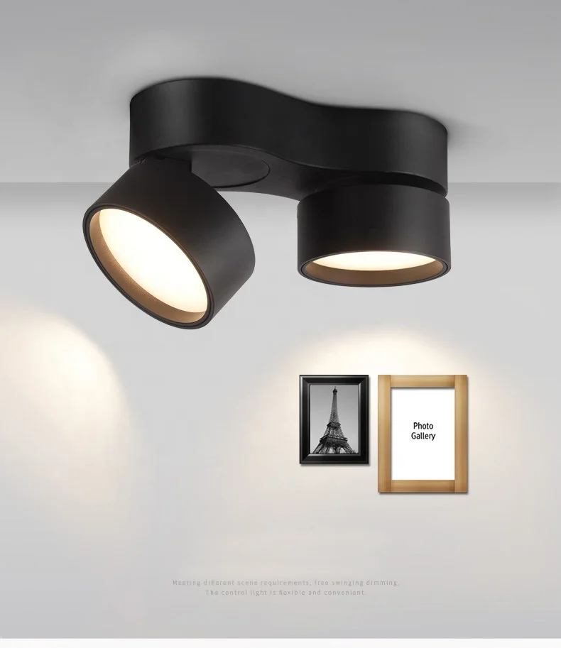 double heads 15w led  down light surface mounted cob led