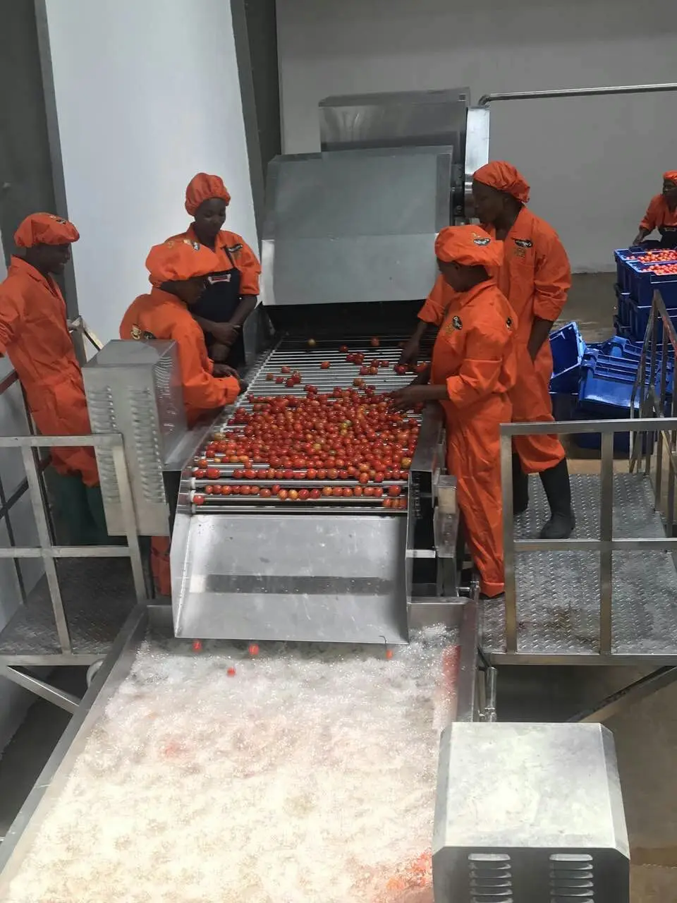 Sachet tomato paste processing line tomato sauce production line tomato jam making machine