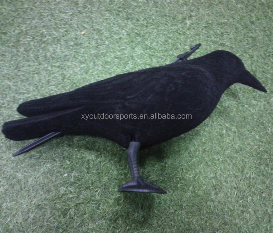 
Plastic Hard Core PE Flocked Fullbodied Crow Type crow Decoys for Hunting 