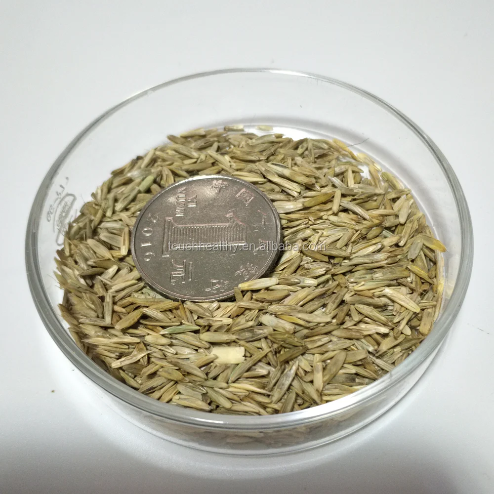 
2021 Touchhealthy supply Hot sale ryegrass seed for sowing 