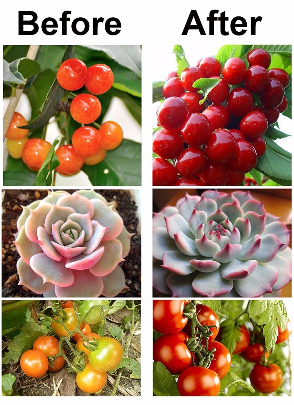 China professional factory epistar chip reverse mount chip datasheet 0.2w 2835 red light smd led