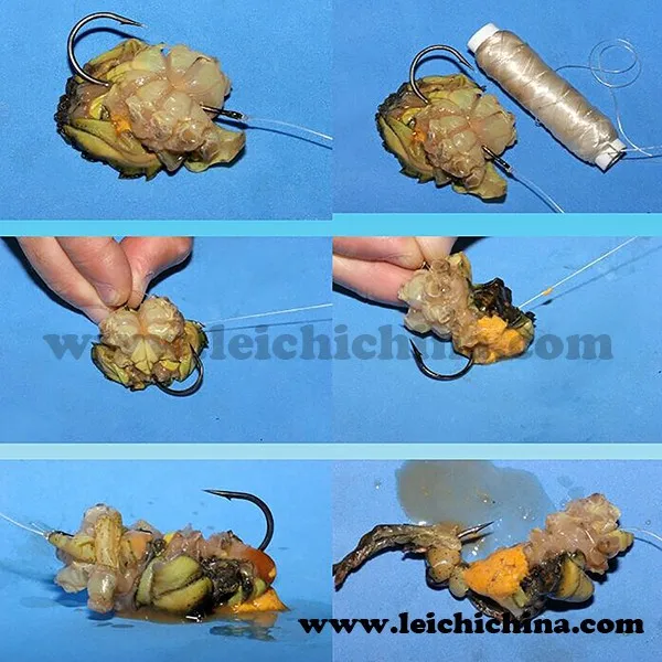 Wholesale Top Grade High Tensile Strength Fishing Bait Elastic