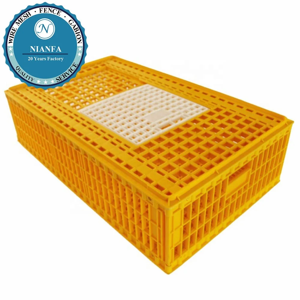 Poultry plastic chicken/duck/pigeon/dove transport cage /crate/case/box(Guangzhou Factory)