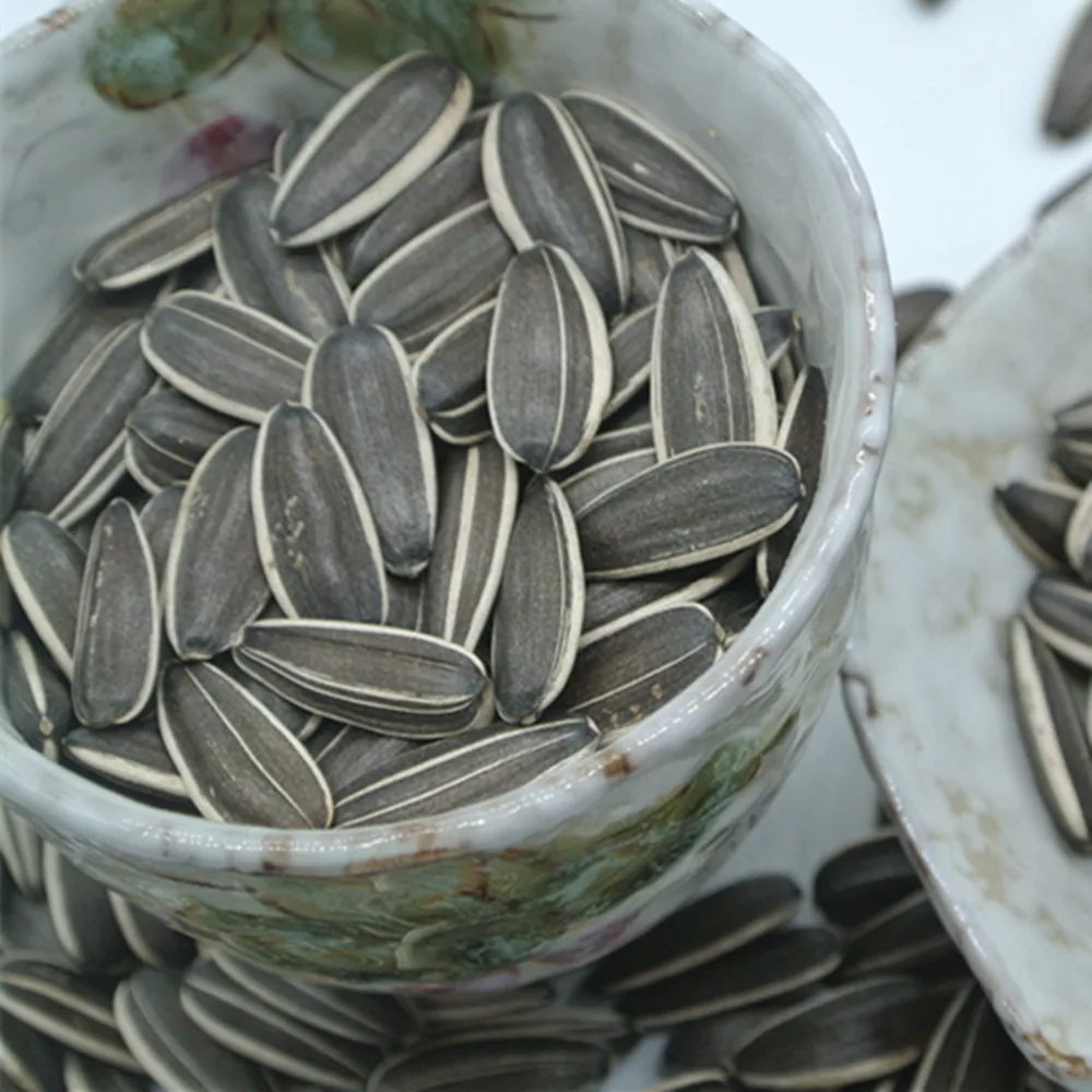 adenium seeds middle east sunflower seeds 363