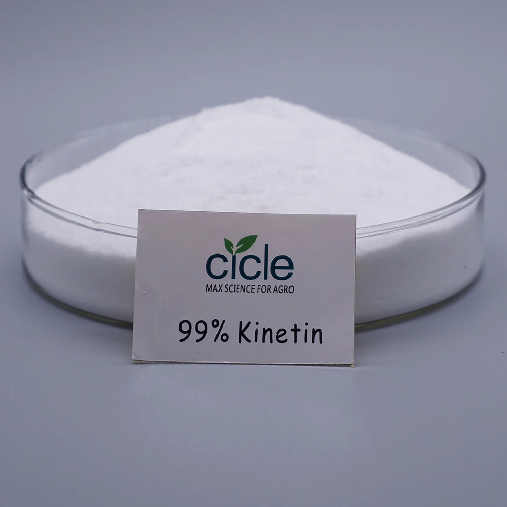 Free sample available kinetin cytokinin  CTK 99%TC plant growth regulator