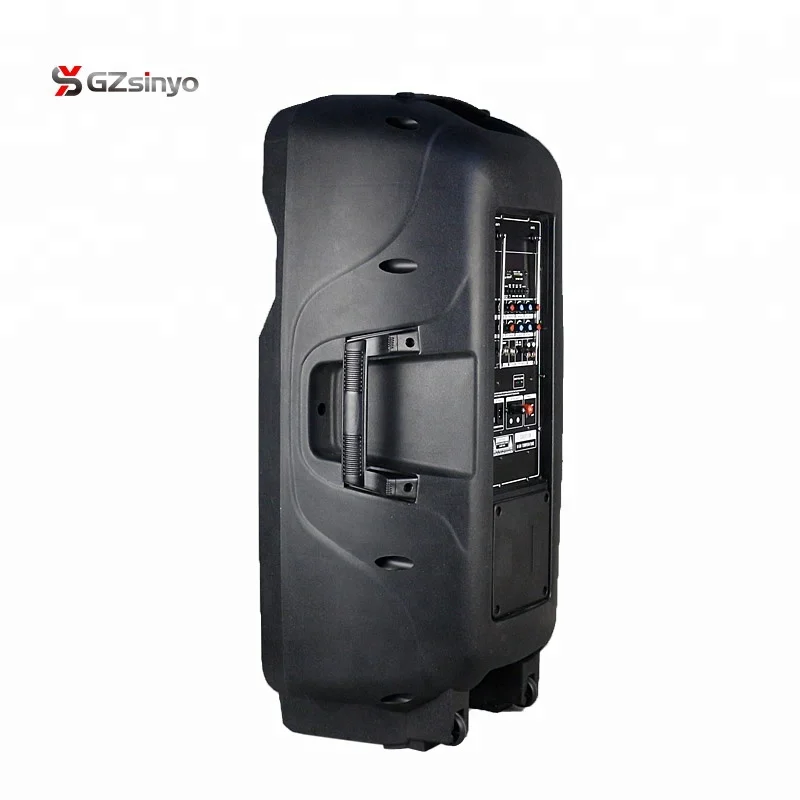 double 12inch strong power portable battery powered pa speaker system