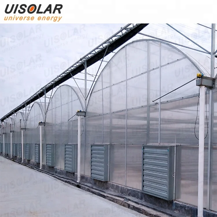 Galvanized steel structure agricultural pe film greenhouse
