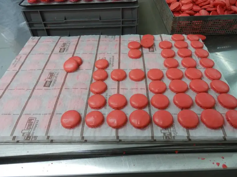 
Customized Design Print with 35 Circles Silicone Macaron Baking Liner Sheets 