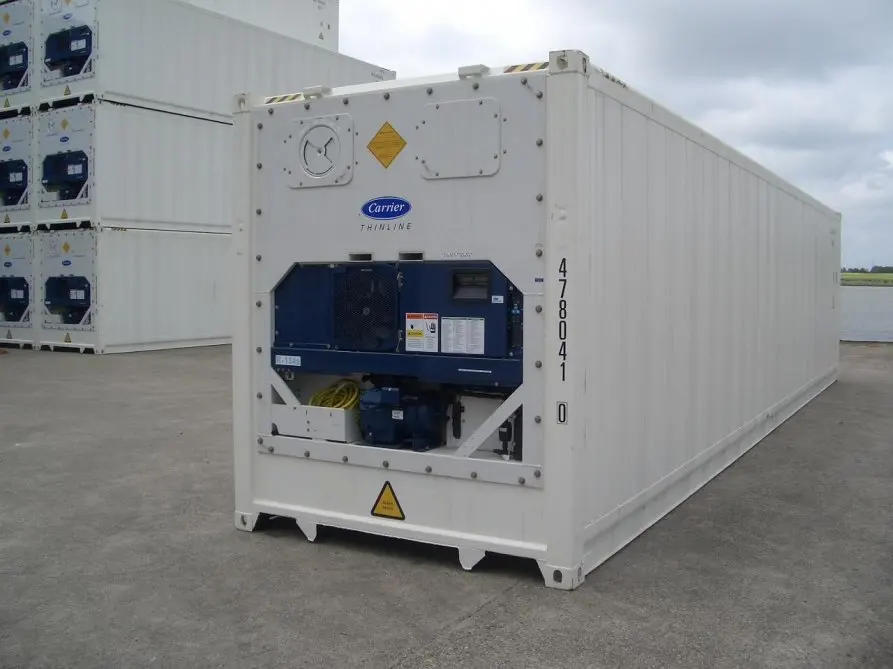 China supplier 20 40 feet insulated reefer shipping container price