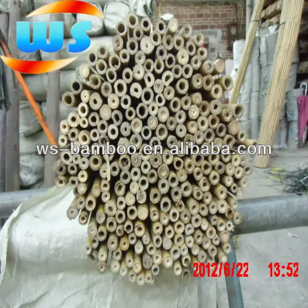 Timber Raw Materials/Bamboo pole for variety show performance