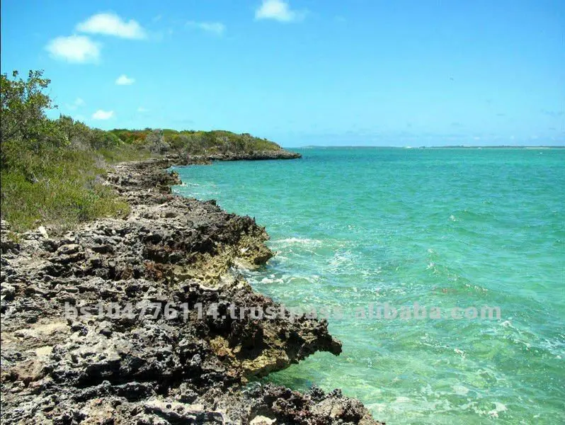 
Морская передняя часть Exuma 