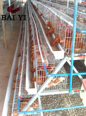 Automatic chicken farm battery cages laying hens for poultry equipment