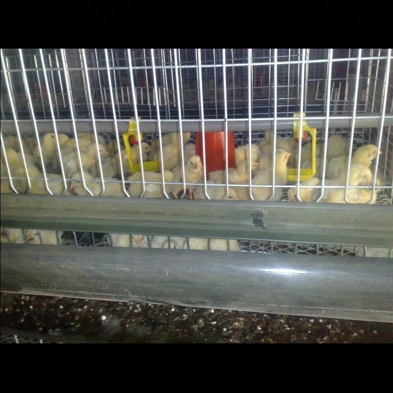 galvanized broiler chicken cage