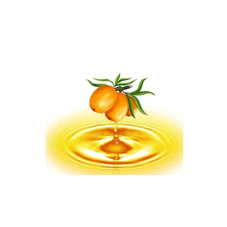 Factory Supply 100% Pure Sea Buckthorn  Oil
