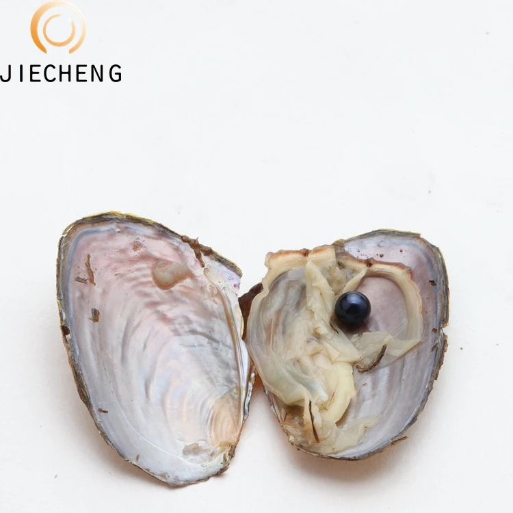 Discount price near round bulk natural cultured freshwater pearl wish live gift wholesale pearl oysters