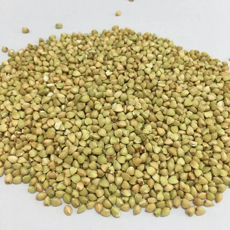 Золотая поставка, оптовая продажа, Жареная Гречневая ядра лучшего качества