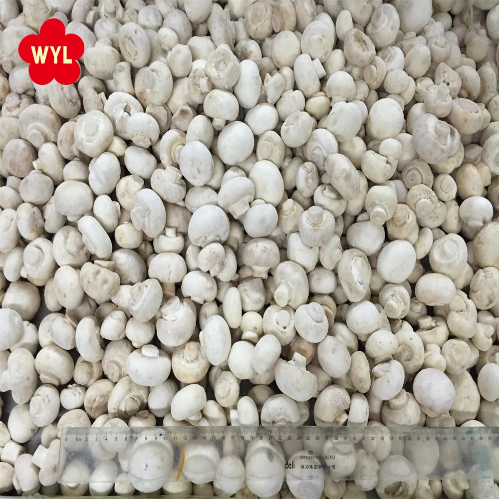 Замороженные грибы, выращивание грибов, цена