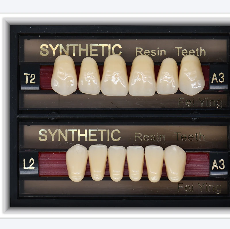 China factory sale CE ISO dental false teeth acrylic resin tooth 2 and 3 layer tooth high quality and low price