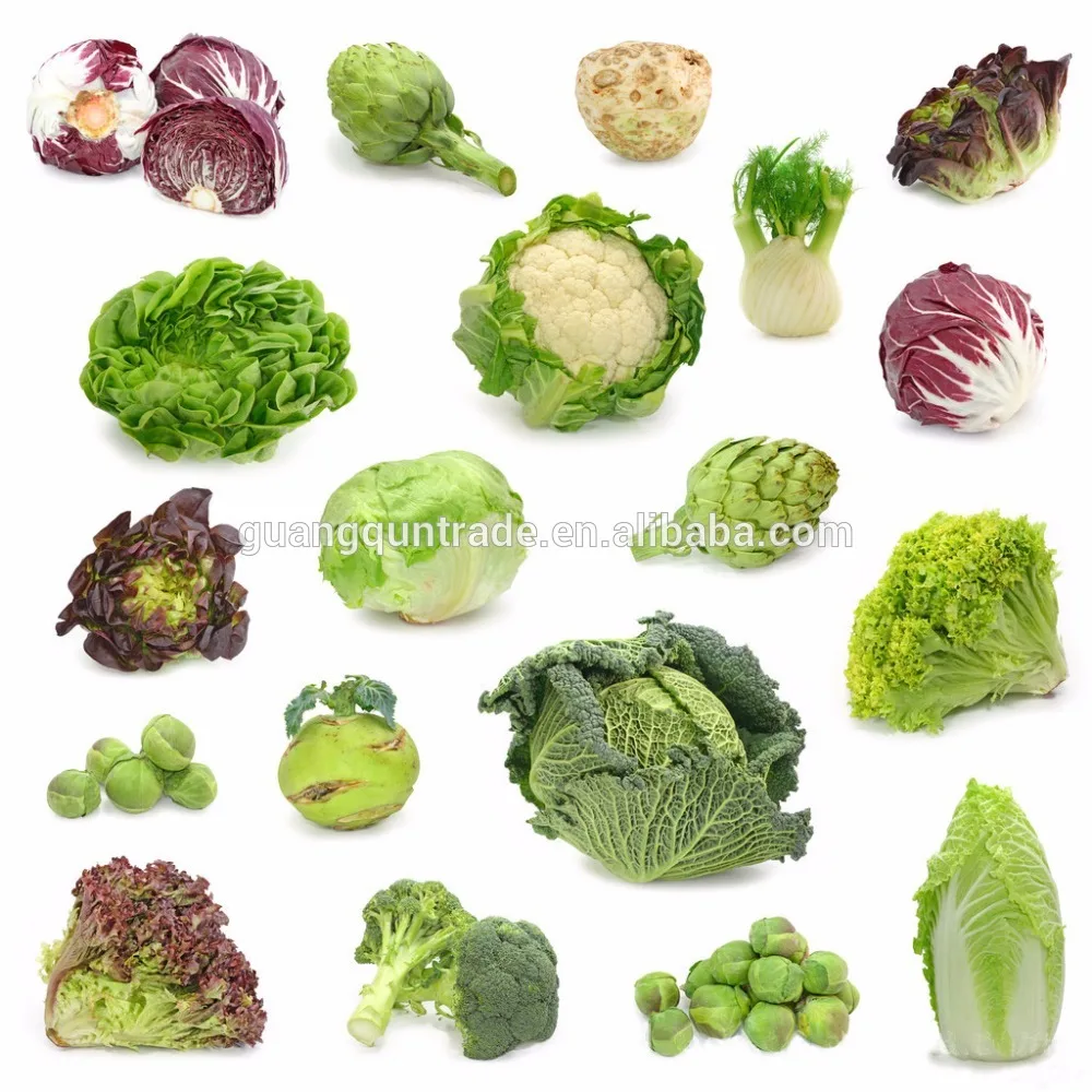 Most Favorable Fruit Vegetable Leaf Vegetable Processing Machine