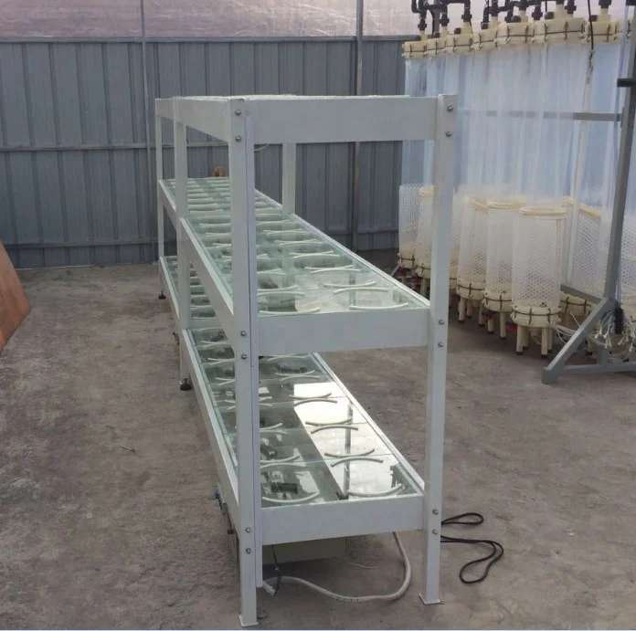chlorella,microalgae, algae culture for algae storage rack
