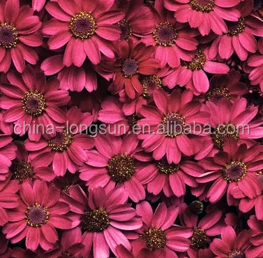 LSD-1230619 Декоративные небольшой ромашка цветок гобелен цветы