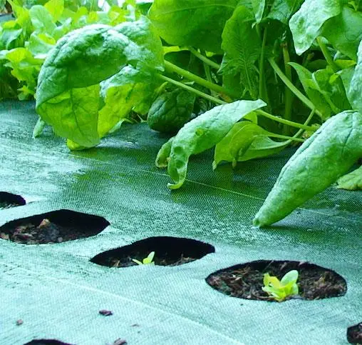 Agricultural woven pp weed control mat ground cover net Weed Control Mat Fabric for USA Market