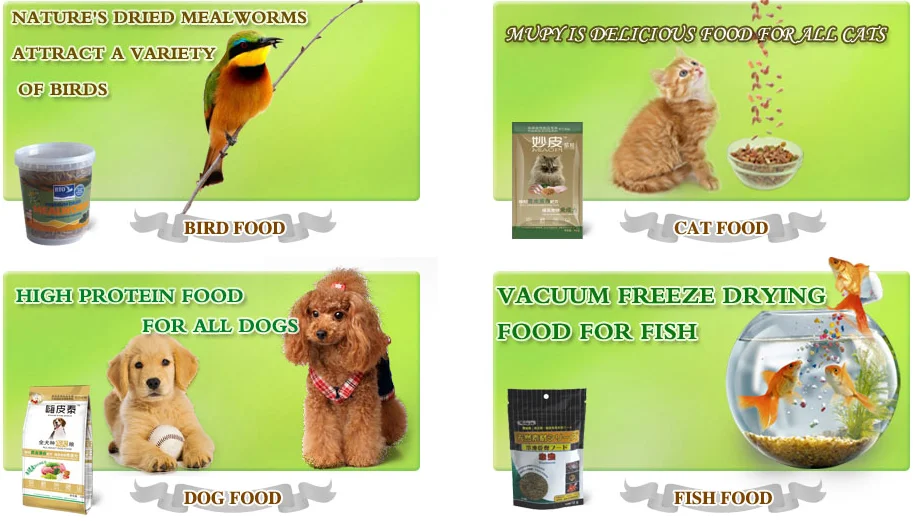 Cheap and high quality bird food and chicken food dried mealworms
