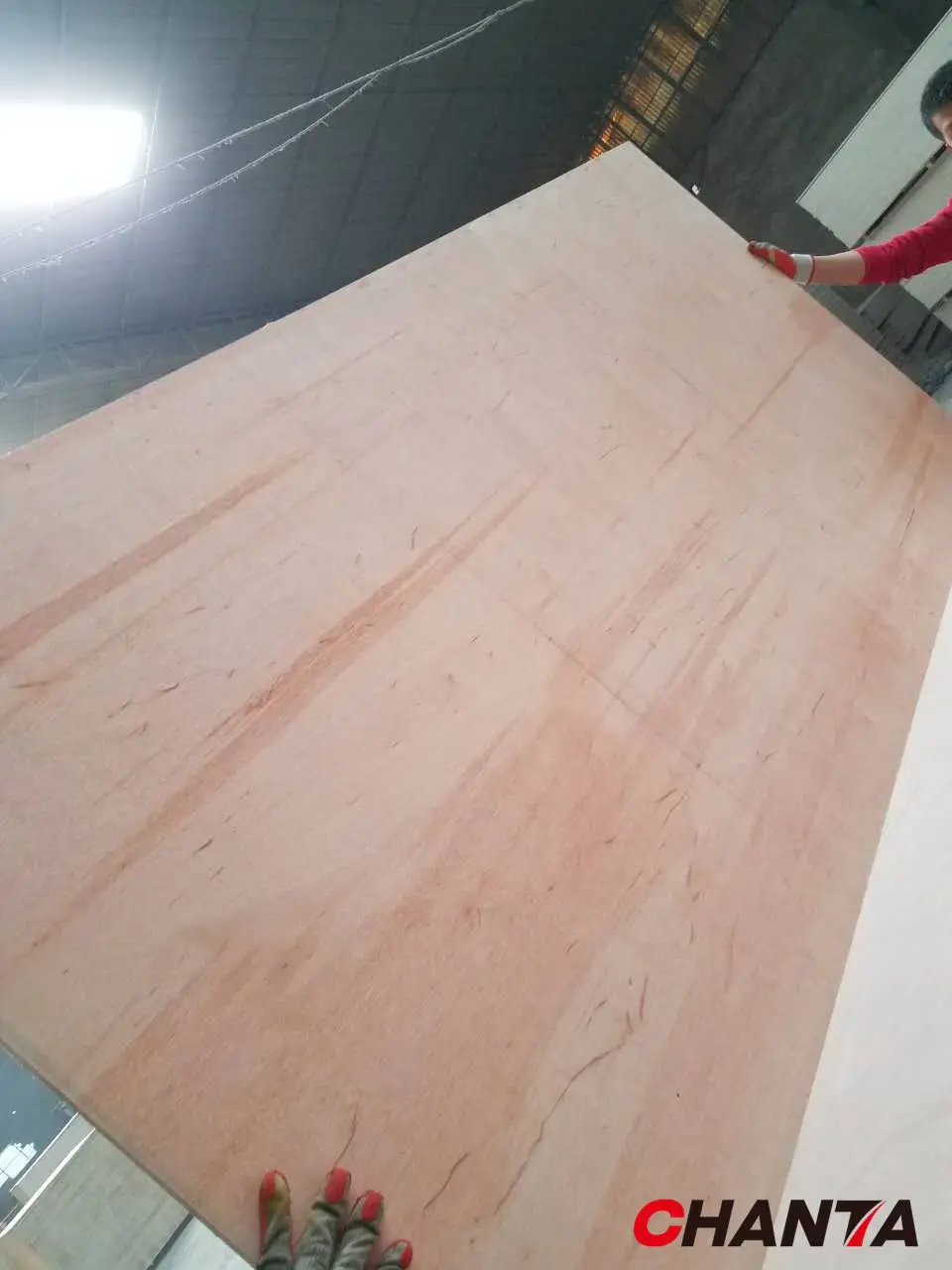 Professional eucalyptus plywood/laminated wood boards/coated plywood with high quality