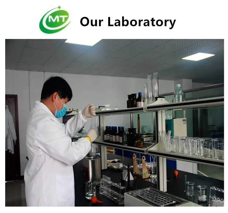 Органический экстракт черного чая в порошке