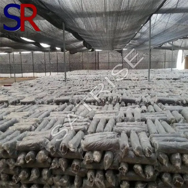 Hot sale mushroom cultivation log farm grow kit