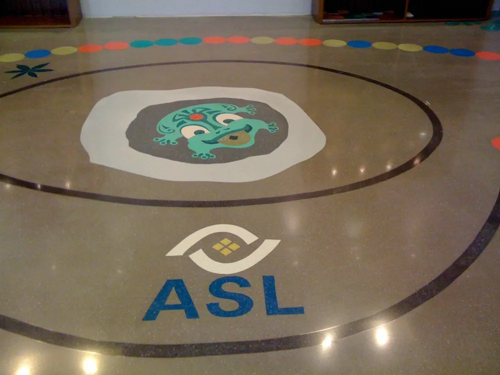 ASL Cheap Automatic or Electric Floor Scrubber