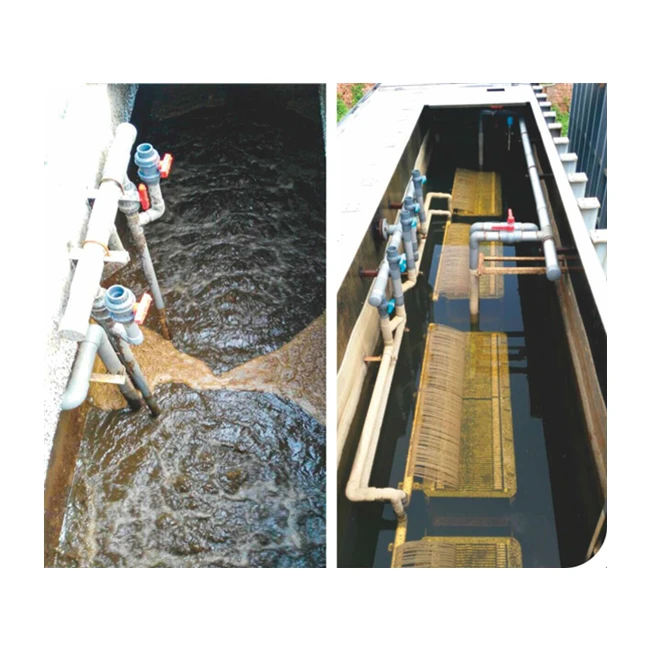 Different capacity MBR system/ Membrane Bio Reactor in Container for waste water