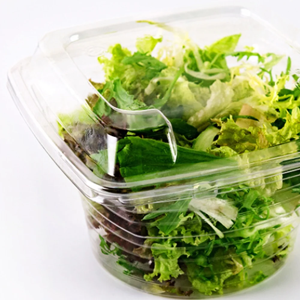 
Plastic lunch fruit biodegradable transparent RPET/PET disposable high quality salad box 
